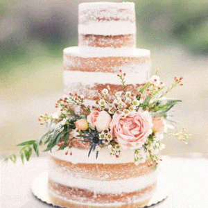 all inclusive wedding packages by Beach Weddings Alabama